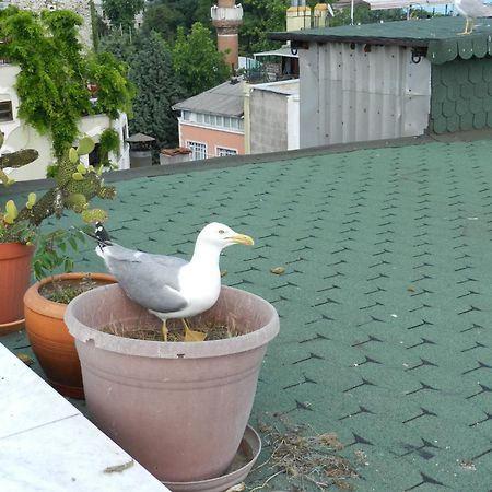 Berk Guest House - Grandma'S House Istanbul Exterior photo