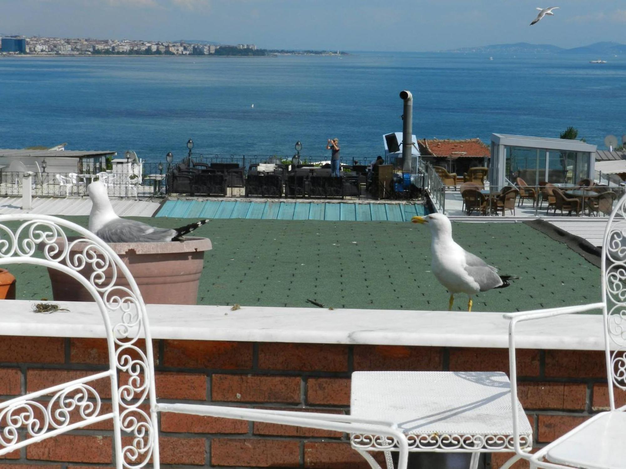 Berk Guest House - Grandma'S House Istanbul Exterior photo